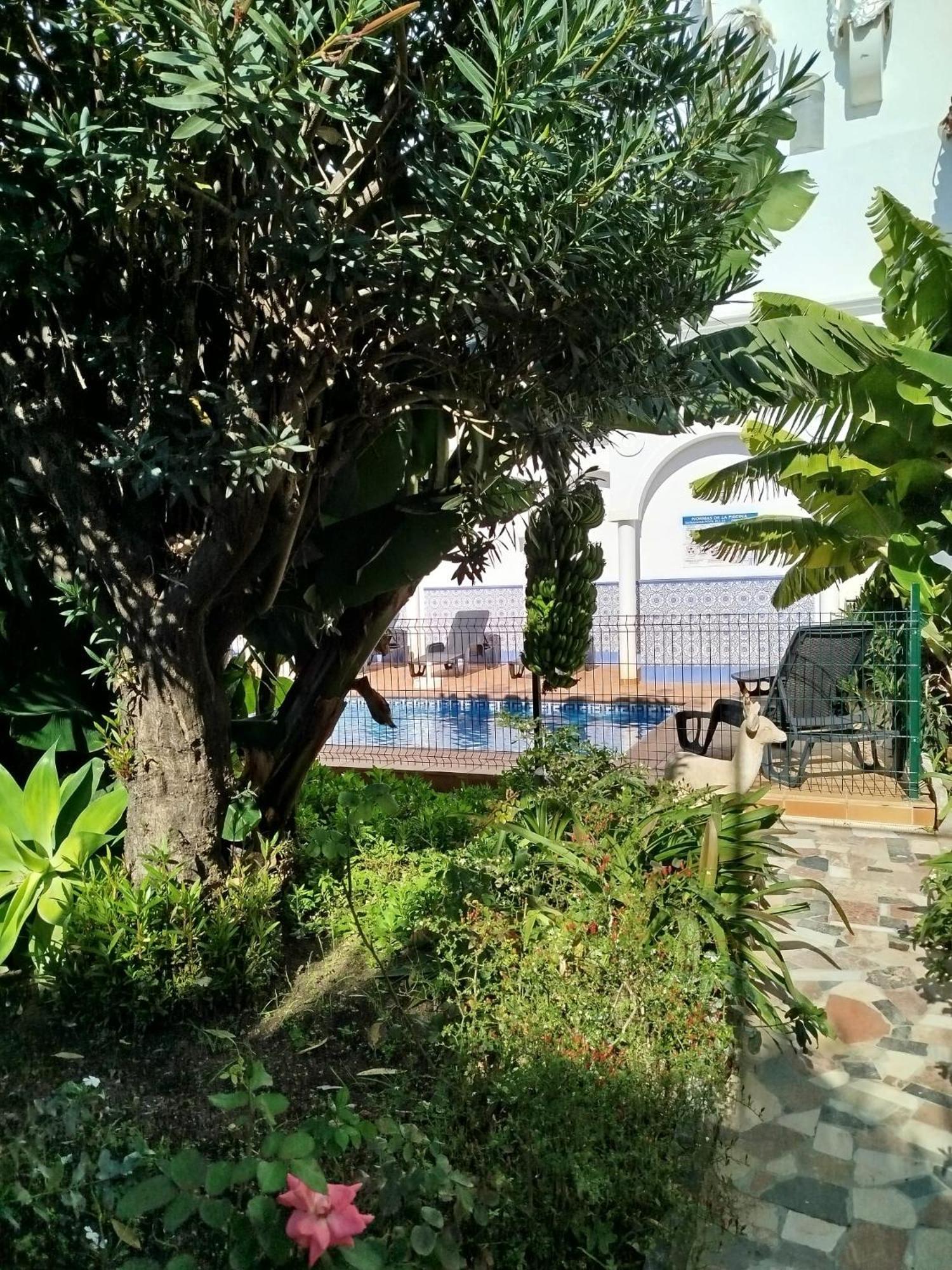 El Jardin Benerja Apartment Екстериор снимка